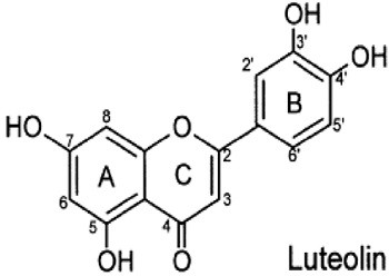 luteolin chemical formula.jpg.jpg